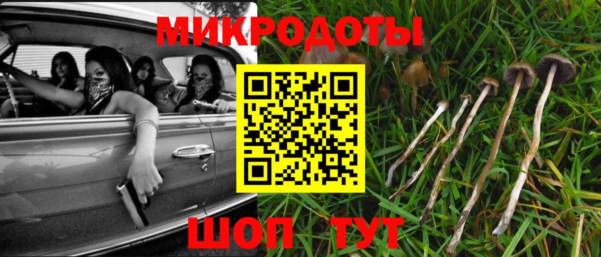 Галлюциногенные грибы GOLDEN TEACHER  Вход с VPN  Кировск 