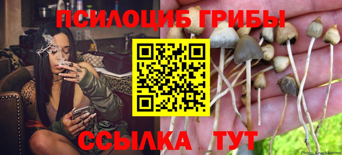 Галлюциногенные грибы мухоморы Кировск